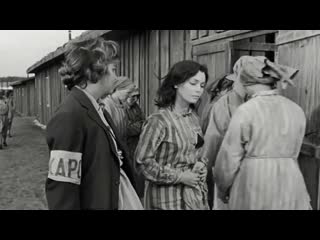 kapo / kapo (1960) - military drama. gillo pontecorvo